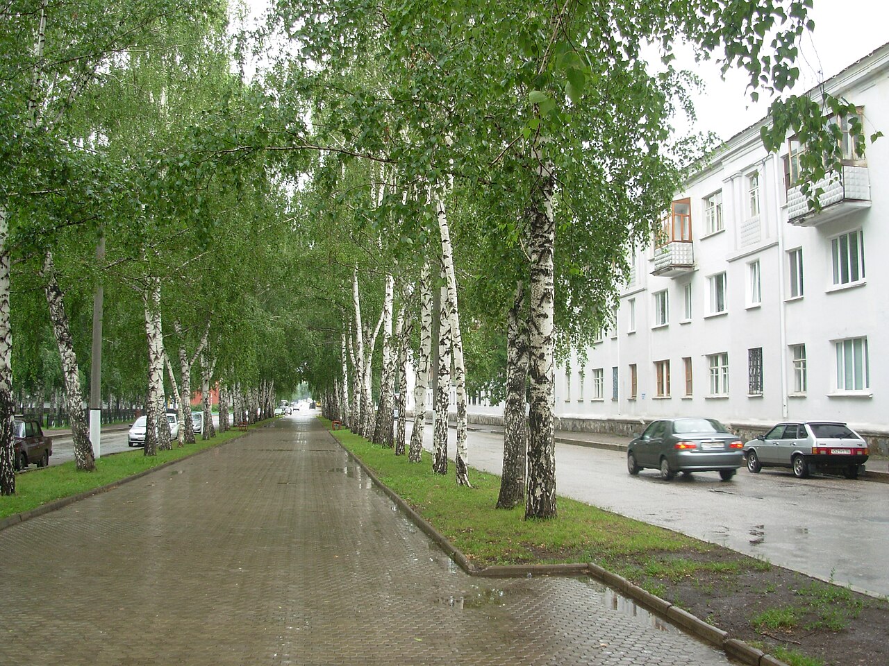 Китайский чай в Салавате: доставка в течение 2–3 дней